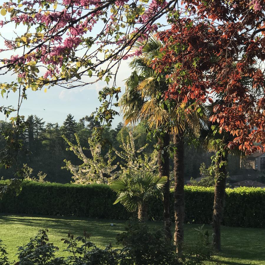 Residenza Ambrogi Bed & Breakfast Urbino Exterior photo